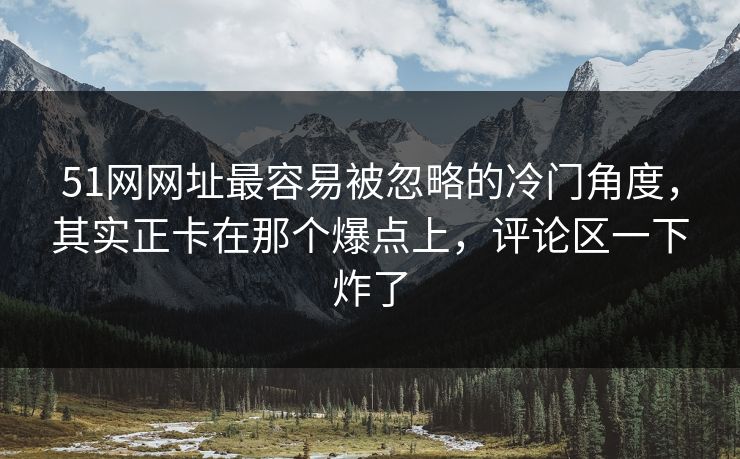 51网网址最容易被忽略的冷门角度，其实正卡在那个爆点上，评论区一下炸了