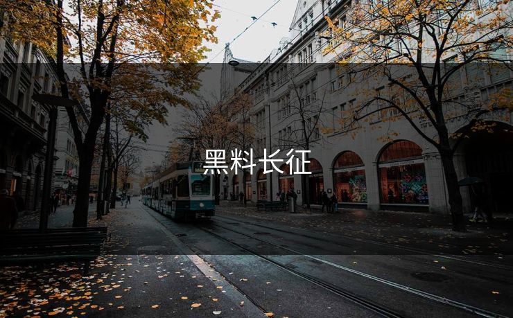 黑料长征